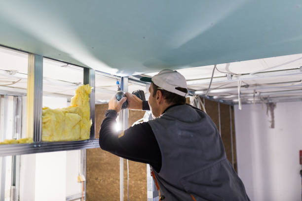 Best Energy Efficiency Insulation in Spring Valley, CA