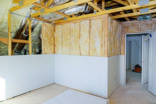 Best Blown-in Insulation in Spring Valley, CA
