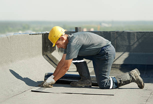Best Insulation Maintenance and Repair in Spring Valley, CA