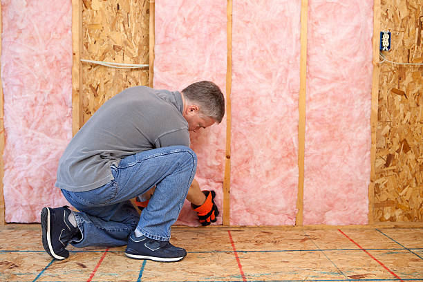 Professional Insulation Contractor in Spring Valley, CA