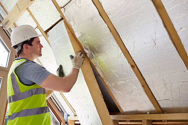 Best Cellulose Insulation in Spring Valley, CA
