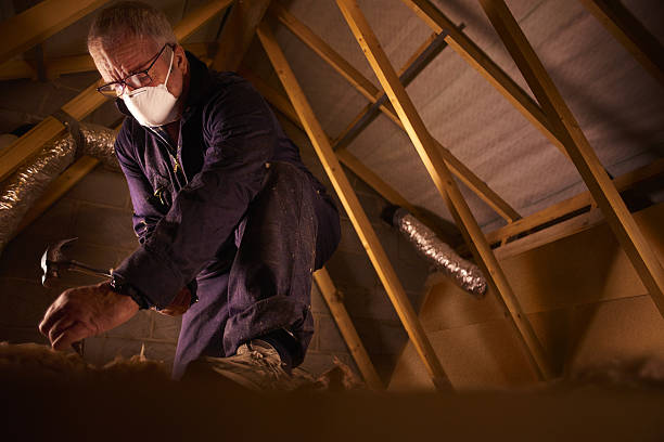 Best DIY Insulation Kits and Guidance in Spring Valley, CA